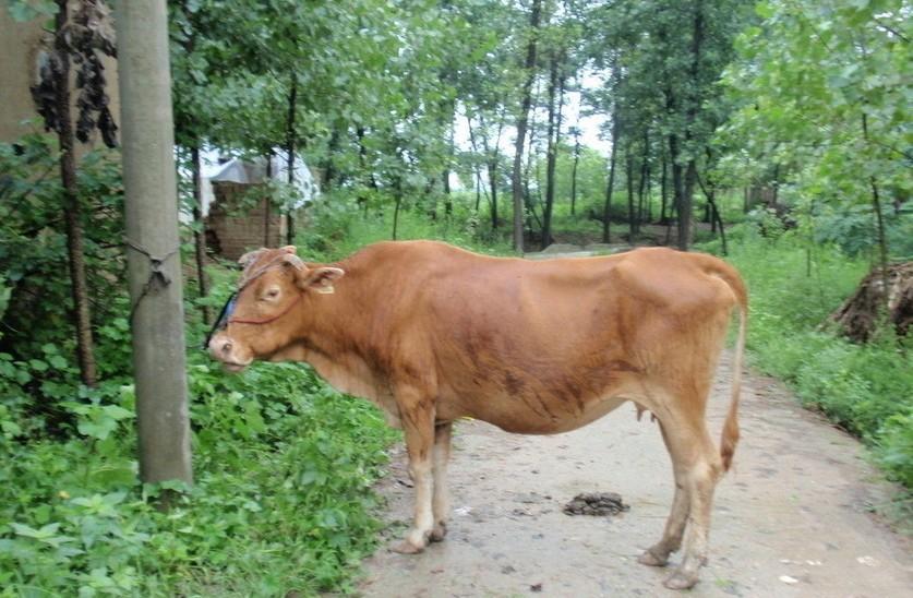 详细阅读:宁波最新求一个套医保卡的黄牛是真的吗方法分析(最方便真实的宁波求一个套医保卡的黄牛是真的吗还是假的方法) 宁波最新求一个套医保卡的黄牛是真的吗方法分析(最方便真实的宁波求一个套医保卡的黄牛是真的吗还是假的方法)